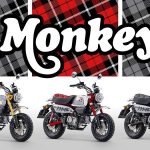 Honda Z125 Monkey: The Ultimate 125cc Fun Bike for UK Riders | Review & Why Buy