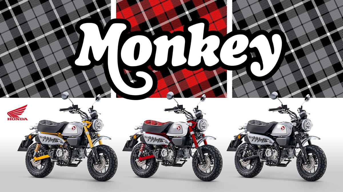 Honda Z125 Monkey: The Ultimate 125cc Fun Bike for UK Riders | Review & Why Buy